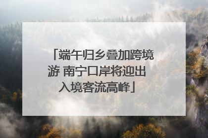 端午归乡叠加跨境游 南宁口岸将迎出入境客流高峰
