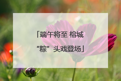 端午将至 榕城“粽”头戏登场