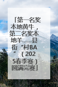 第一名奖本地黄牛，第二名奖本地羊……县街“村BA”（2025春季赛）圆满完赛