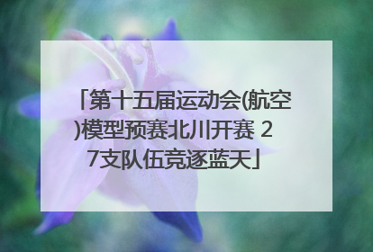 第十五届运动会(航空)模型预赛北川开赛 27支队伍竞逐蓝天