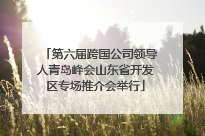 第六届跨国公司领导人青岛峰会山东省开发区专场推介会举行