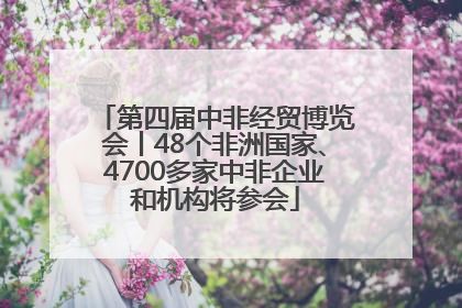 第四届中非经贸博览会丨48个非洲国家、4700多家中非企业和机构将参会