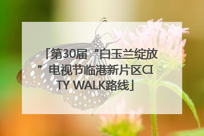 第30届“白玉兰绽放”电视节临港新片区CITY WALK路线