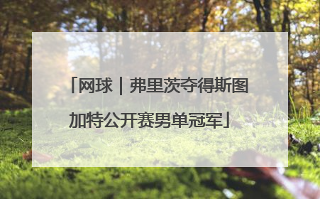 网球｜弗里茨夺得斯图加特公开赛男单冠军