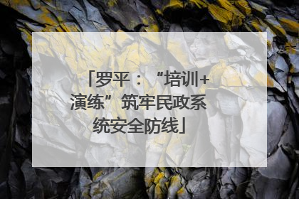 罗平：“培训+演练”筑牢民政系统安全防线