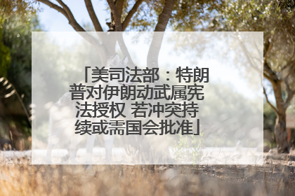 美司法部：特朗普对伊朗动武属宪法授权 若冲突持续或需国会批准