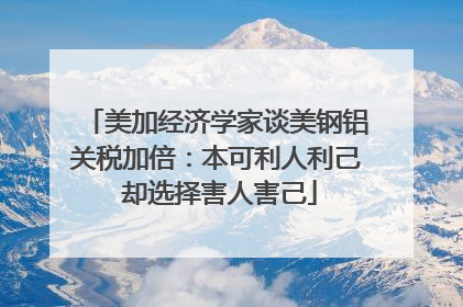 美加经济学家谈美钢铝关税加倍：本可利人利己 却选择害人害己
