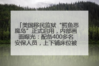 美国移民监狱“鳄鱼恶魔岛”正式启用，内部画面曝光：配备400多名安保人员，上下铺床位被罩在铁丝网里