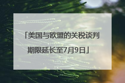 美国与欧盟的关税谈判期限延长至7月9日