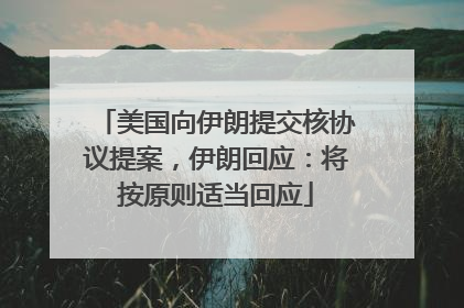 美国向伊朗提交核协议提案，伊朗回应：将按原则适当回应