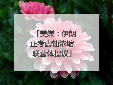 美媒：伊朗正考虑铀浓缩联营体提议