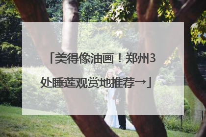 美得像油画！郑州3处睡莲观赏地推荐→