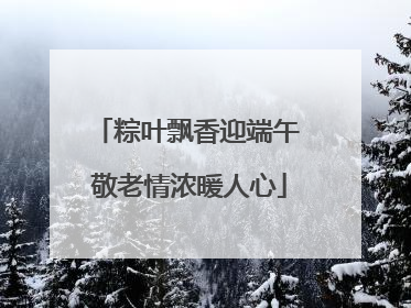 粽叶飘香迎端午 敬老情浓暖人心