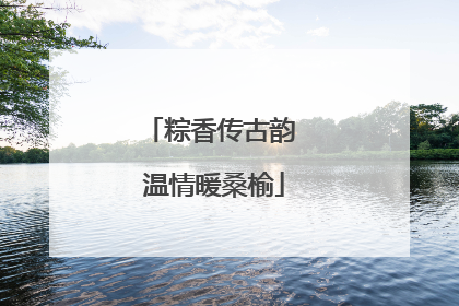 粽香传古韵 温情暖桑榆