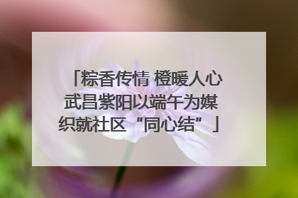 粽香传情 橙暖人心 武昌紫阳以端午为媒织就社区“同心结”