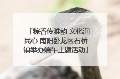 粽香传雅韵 文化润民心 南阳卧龙区石桥镇举办端午主题活动