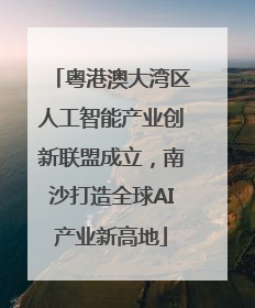 粤港澳大湾区人工智能产业创新联盟成立，南沙打造全球AI产业新高地
