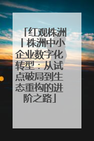 红观株洲丨株洲中小企业数字化转型：从试点破局到生态重构的进阶之路