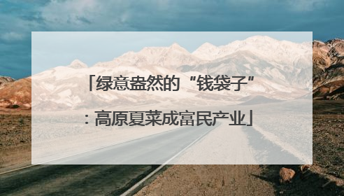 绿意盎然的“钱袋子”：高原夏菜成富民产业