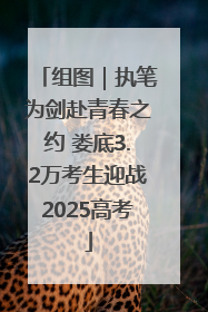 组图｜执笔为剑赴青春之约 娄底3.2万考生迎战2025高考