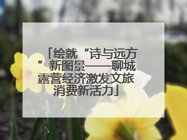 绘就“诗与远方”新图景——聊城露营经济激发文旅消费新活力