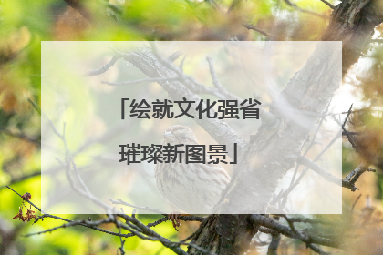 绘就文化强省璀璨新图景