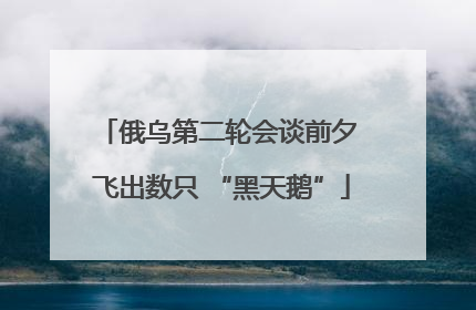 俄乌第二轮会谈前夕 飞出数只 “黑天鹅”