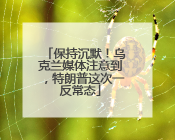 保持沉默！乌克兰媒体注意到，特朗普这次一反常态