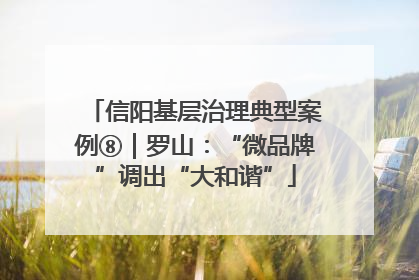 信阳基层治理典型案例⑧｜罗山：“微品牌”调出“大和谐”