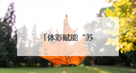 体彩赋能“苏超” 公益力量点亮绿茵精彩