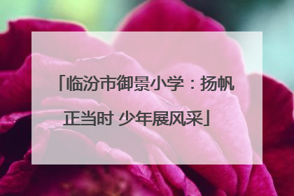 临汾市御景小学：扬帆正当时 少年展风采