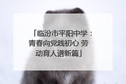 临汾市平阳中学：青春向党践初心 劳动育人谱新篇