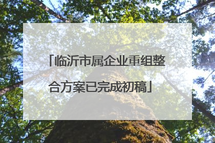 临沂市属企业重组整合方案已完成初稿