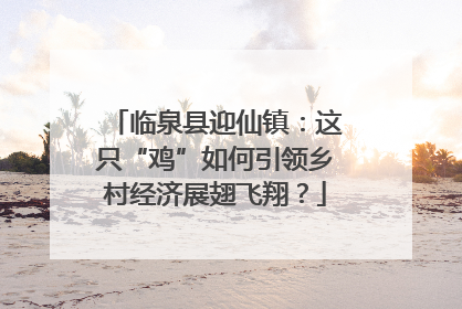临泉县迎仙镇：这只“鸡”如何引领乡村经济展翅飞翔？