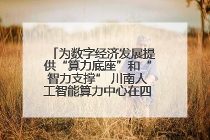 为数字经济发展提供“算力底座”和“智力支撑” 川南人工智能算力中心在四川泸州启动