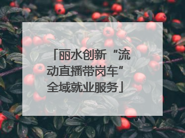 丽水创新“流动直播带岗车”全域就业服务