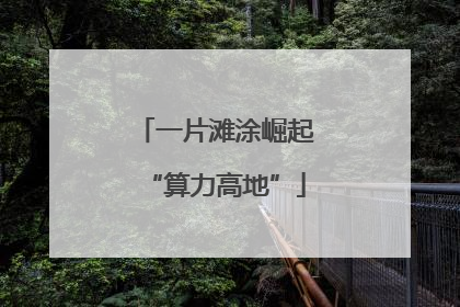 一片滩涂崛起“算力高地”