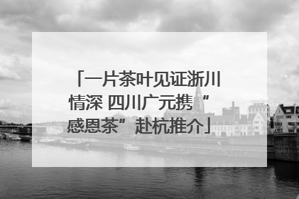 一片茶叶见证浙川情深 四川广元携“感恩茶”赴杭推介