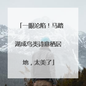 一眼沦陷！马踏湖成鸟类诗意栖居地，太美了