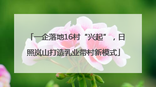 一企落地16村“兴起”，日照岚山打造乳业带村新模式