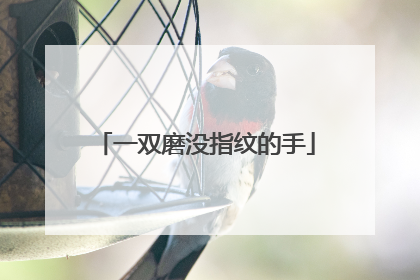 一双磨没指纹的手