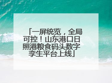 一屏统览，全局可控！山东港口日照港粮食码头数字孪生平台上线