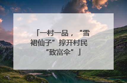 一村一品，“雪裙仙子”撑开村民“致富伞”
