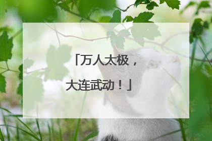 万人太极，大连武动！