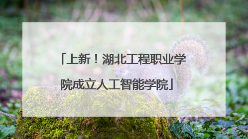 上新！湖北工程职业学院成立人工智能学院