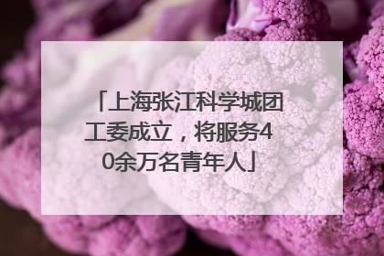 上海张江科学城团工委成立，将服务40余万名青年人