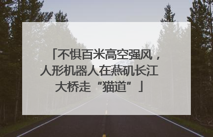 不惧百米高空强风，人形机器人在燕矶长江大桥走“猫道”
