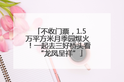 不收门票，1.5万平方米月季园爆火！一起去三好桥头看“龙凤呈祥”