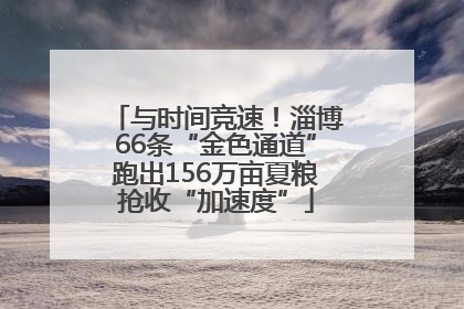 与时间竞速！淄博66条“金色通道”跑出156万亩夏粮抢收“加速度”