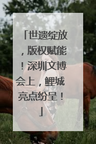 世遗绽放，版权赋能！深圳文博会上，鲤城亮点纷呈！